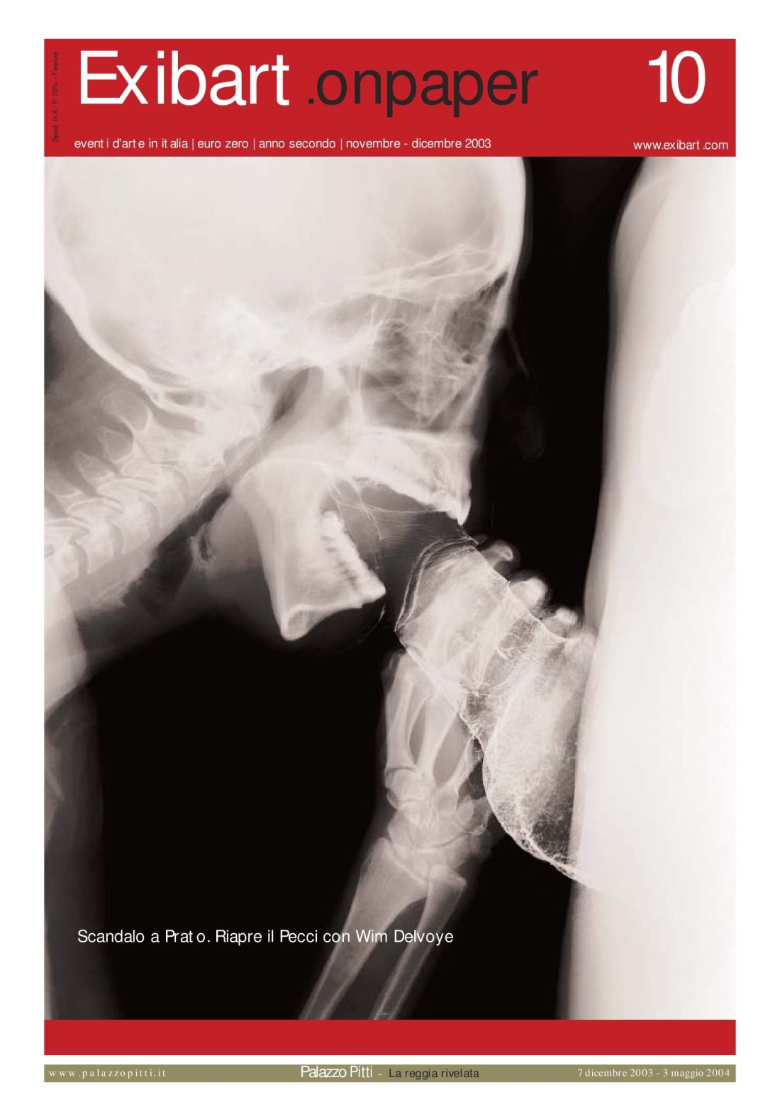 Рентгеновский снимок минета