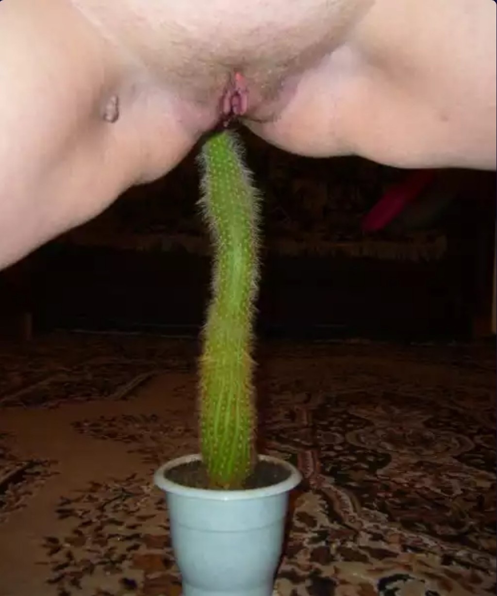 Засунула Кактус в киску